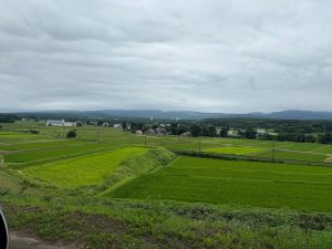 IMG_1611